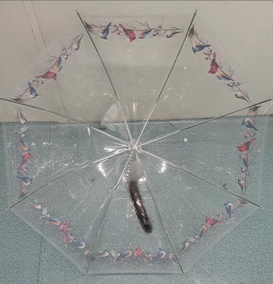 TUV Automatic Open Clear POE Kids Compact Umbrella 100cm